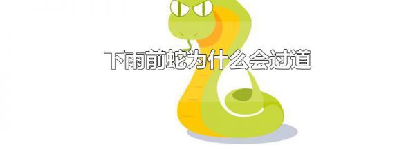 下雨前蛇为什么会过道