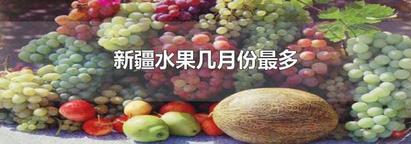 新疆水果几月份最多