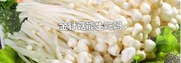金针菇能生吃吗