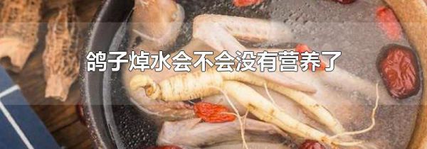 鸽子焯水会不会没有营养了