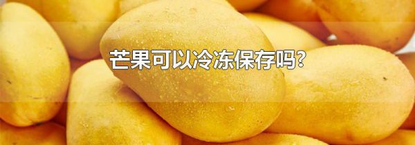 芒果可以冷冻保存吗?