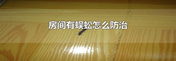 房间有蜈蚣怎么防治