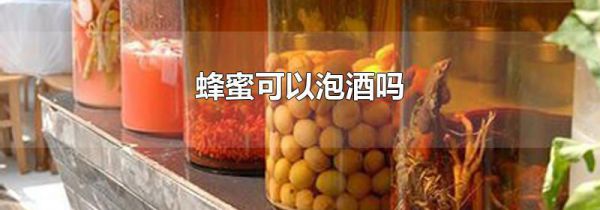 蜂蜜可以泡酒吗