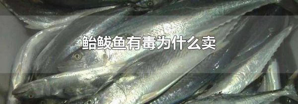 鲐鲅鱼有毒为什么卖