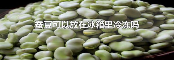 蚕豆可以放在冰箱里冷冻吗