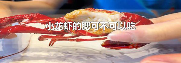 小龙虾的腮可不可以吃