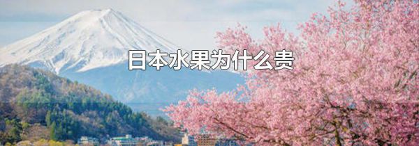日本水果为什么贵