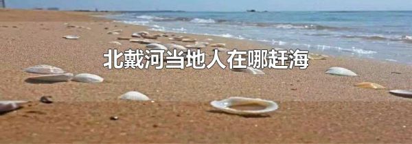 北戴河当地人在哪赶海