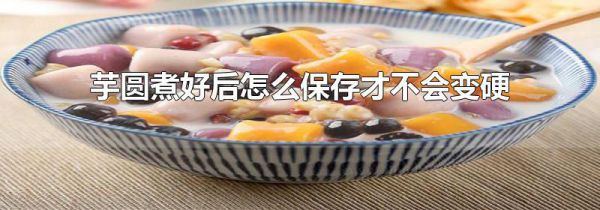 芋圆煮好后怎么保存才不会变硬