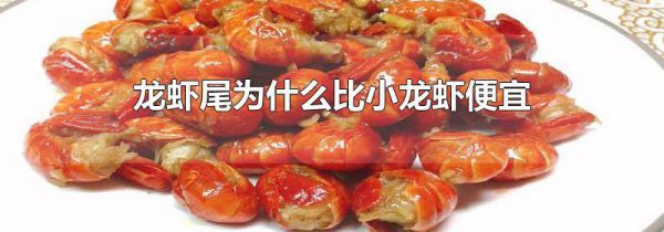 龙虾尾为什么比小龙虾便宜