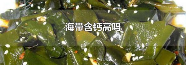 海带含钙高吗