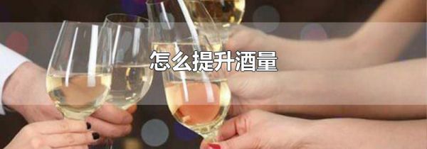 怎么提升酒量