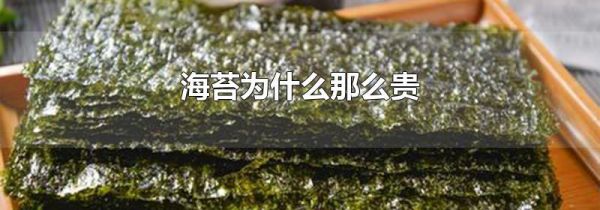 海苔为什么那么贵