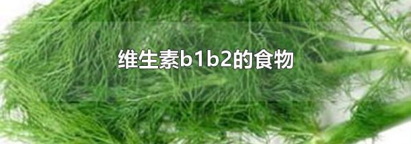 维生素b1b2的食物
