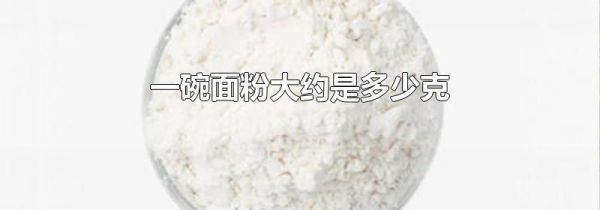 一碗面粉大约是多少克