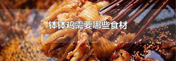 钵钵鸡需要哪些食材