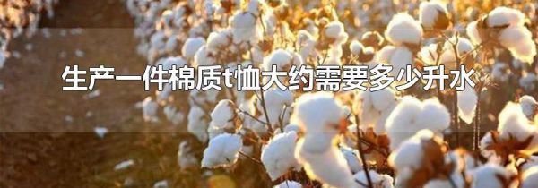 生产一件棉质t恤大约需要多少升水