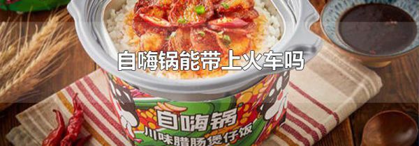自嗨锅能带上火车吗
