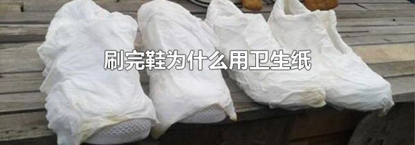 刷完鞋为什么用卫生纸