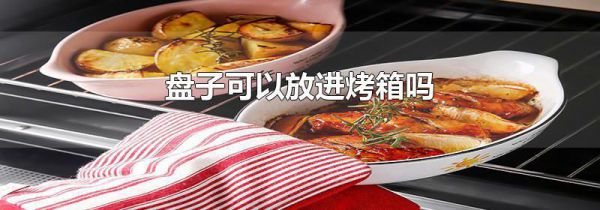 盘子可以放进烤箱吗