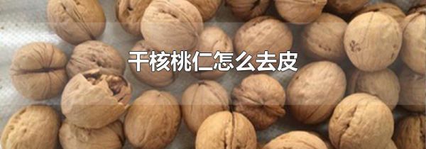 干核桃仁怎么去皮