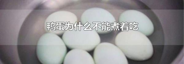 鸭蛋为什么不能煮着吃