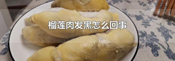 榴莲肉发黑怎么回事