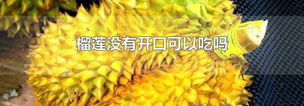 榴莲没有开口可以吃吗