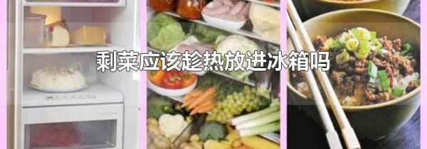 剩菜应该趁热放进冰箱吗