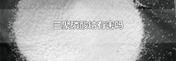 三聚磷酸钠有害吗