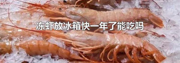 冻虾放冰箱快一年了能吃吗