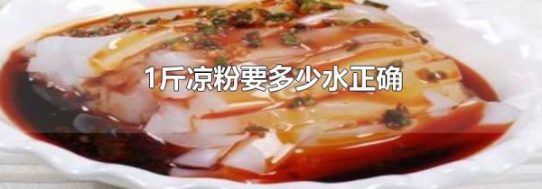 1斤凉粉要多少水正确