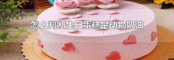 怎么判断生日蛋糕是动物奶油
