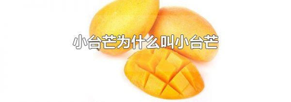 小台芒为什么叫小台芒