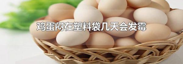 鸡蛋闷在塑料袋几天会发霉