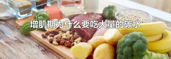 增肌期为什么要吃大量的碳水