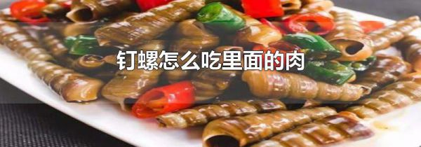 钉螺怎么吃里面的肉