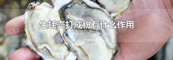 生蚝壳打成粉有什么作用