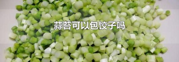 蒜苔可以包饺子吗