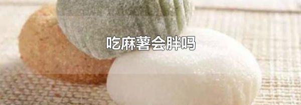 吃麻薯会胖吗