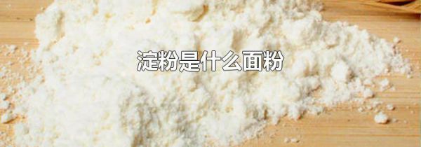 淀粉是什么面粉