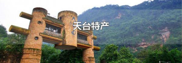 天台特产