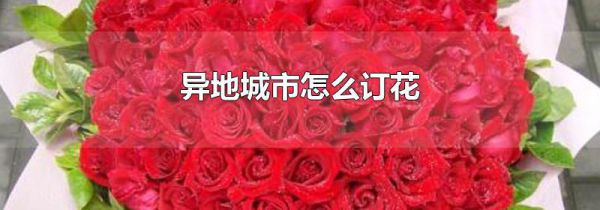 异地城市怎么订花