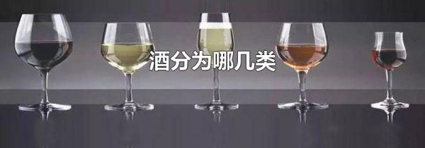 酒分为哪几类