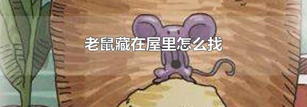 老鼠藏在屋里怎么找