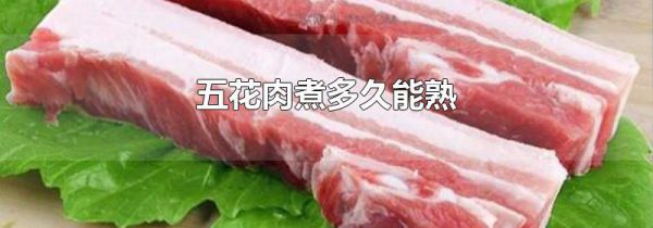 五花肉煮多久能熟