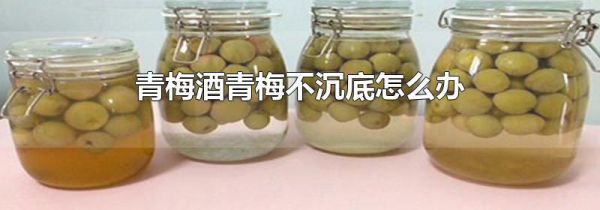 青梅酒青梅不沉底怎么办