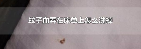 蚊子血弄在床单上怎么洗掉