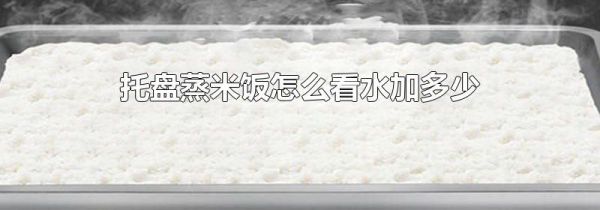 托盘蒸米饭怎么看水加多少