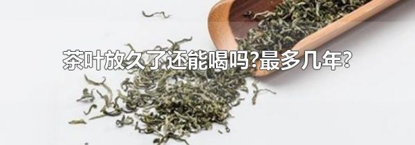 茶叶放久了还能喝吗?最多几年?